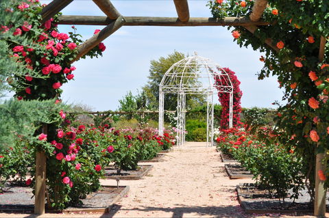 Australian Inland Botanic Gardens - Lismore Accommodation 0