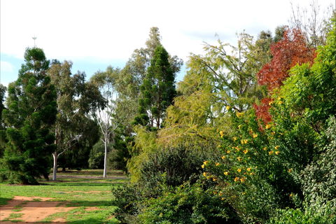 Australian Inland Botanic Gardens - Lismore Accommodation 2