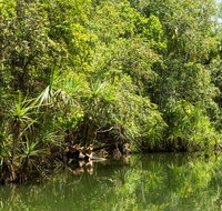 Berry Springs Nature Park - Lismore Accommodation