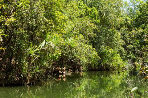 Berry Springs Nature Park - Lismore Accommodation 0