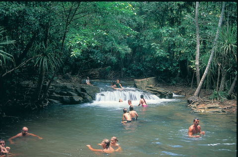 Berry Springs Nature Park - Lismore Accommodation 1
