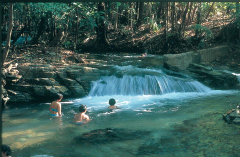 Berry Springs Nature Park - Lismore Accommodation 2