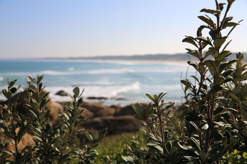 Cape Conran Coastal Park - Lismore Accommodation 0