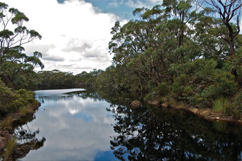 Cape Conran Coastal Park - Lismore Accommodation 2