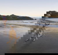 Cape Hillsborough National Park - Lismore Accommodation