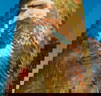 Deniliquin Water Tower Mural - Lismore Accommodation