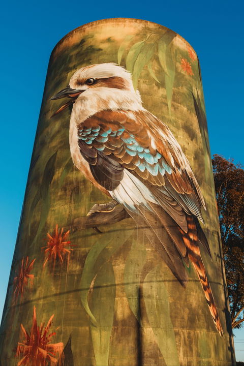 Deniliquin Water Tower Mural - Lismore Accommodation 0