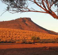 Dutchman Stern Conservation Park Trail - Lismore Accommodation