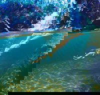 Glenreagh - Lismore Accommodation