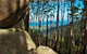 Gulaga Mountain Walk - thumb 0