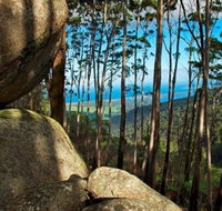 Gulaga Mountain Walk - Lismore Accommodation