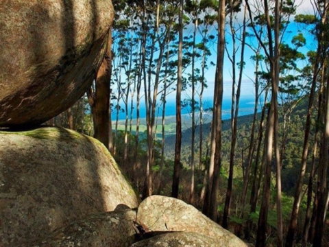 Gulaga Mountain Walk - Lismore Accommodation 0