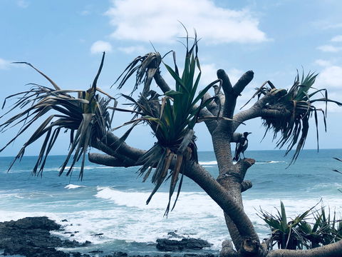 Hastings Point Beach - Lismore Accommodation 0