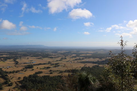 Heaton State Forest - Watagan Mountains - Lismore Accommodation 0