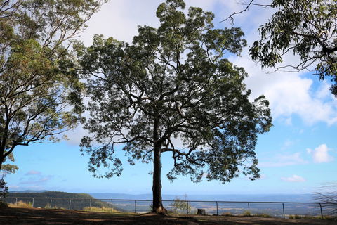 Heaton State Forest - Watagan Mountains - Lismore Accommodation 2