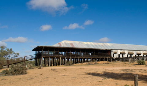 Kinchega Woolshed - Lismore Accommodation 0