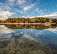 Lashmar Conservation Park - Lismore Accommodation