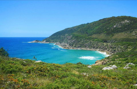 Little Bay Beach - Lismore Accommodation 0