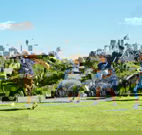 Moore Park Golf Course - Lismore Accommodation