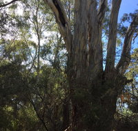 Northern Beaches - Lismore Accommodation