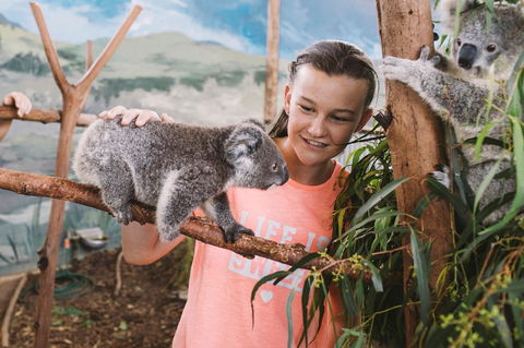 Oakvale Wildlife Park - Lismore Accommodation 0