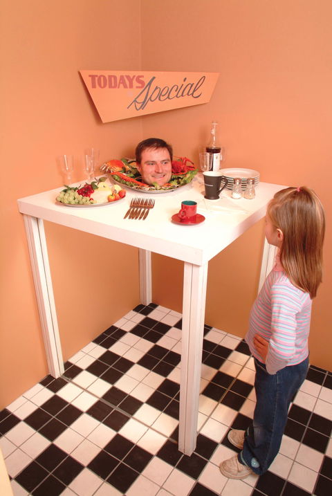 Phillip Island Experience - Lismore Accommodation 0