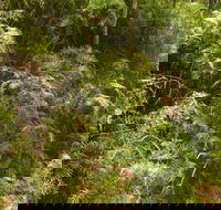 Powder Magazine walking track - Lismore Accommodation