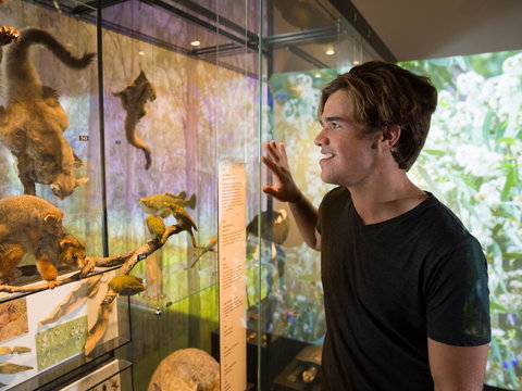 Queensland Museum - Lismore Accommodation 0