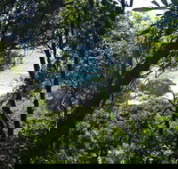Rainforest Walking Track Hat Head National Park - Lismore Accommodation