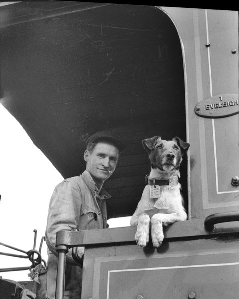 Railway Temora - Lismore Accommodation 0