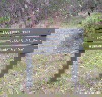 Salisbury Falls Walk - Lismore Accommodation