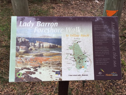 The Lady Barron Foreshore Walk - Lismore Accommodation 0