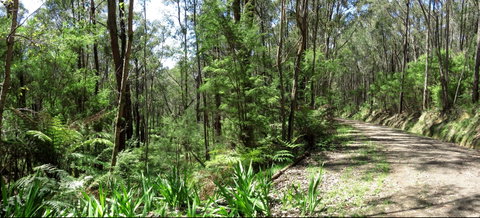 Tyers Park - Lismore Accommodation 0