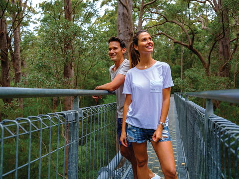 Valley Of The Giants Tree Top Walk - Lismore Accommodation 0