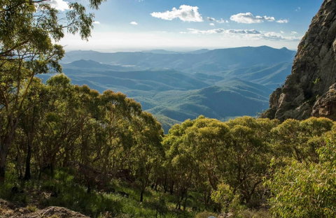 West Kaputar Lookout - Lismore Accommodation 0