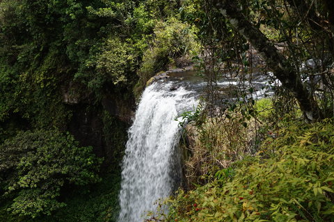 Zillie Falls - Lismore Accommodation 0