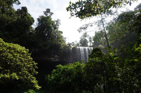 Zillie Falls - Lismore Accommodation 1