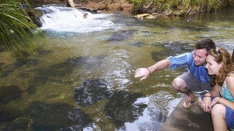 Berry Springs - Lismore Accommodation 1