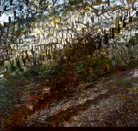 Booderee National Park Munyunga Waraga Dhugan Walking Trail - Lismore Accommodation