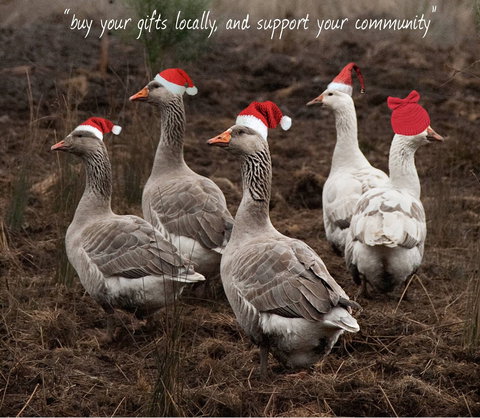 Bream Creek Farmers Market - Lismore Accommodation 1