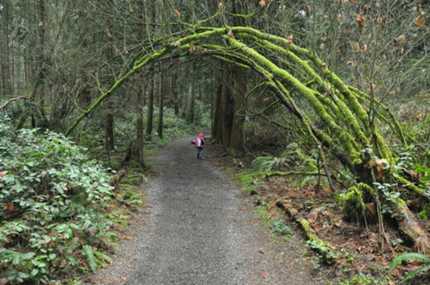 Bridle Trail - Lismore Accommodation 0