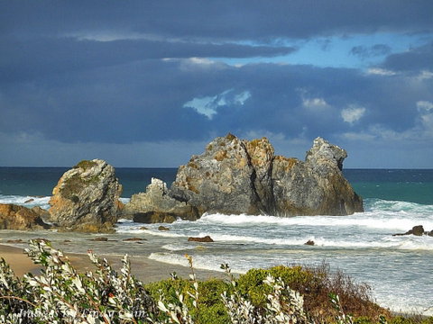 Camel Rock - Lismore Accommodation 2