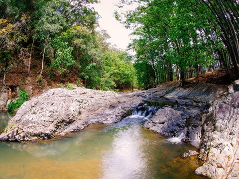 Currumbin Rock Pools - Lismore Accommodation 0