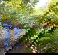 Endeavour Fern Gully Walks - Lismore Accommodation
