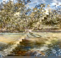 Flea Creek Picnic Area - Lismore Accommodation