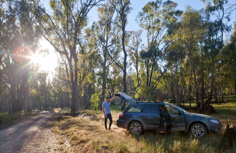 Forest Drive, Murrumbidgee Valley National Park - Lismore Accommodation 0