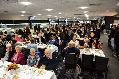 Geelong Greyhound Racing Club - The Beckley Centre - Lismore Accommodation 1