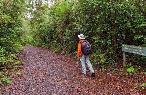 Gibraltar-Washpool World Heritage Walk - Lismore Accommodation 0