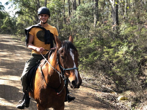 Horse Riding Tasmania - Lismore Accommodation 2