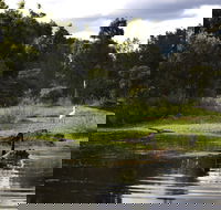 Hunter Wetlands Centre - Lismore Accommodation